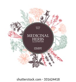 Vector design with hand drawn spices and herbs. Vintage pastel frame  with medicinal herbs sketch.  Vector template