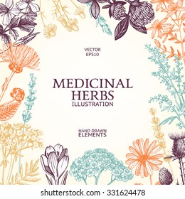 Vector design with hand drawn spices and herbs. Decorative colorful background with vintage medicinal herbs sketch.
