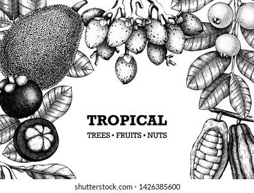 Vector design with hand drawn tropical fruits illustration. Vintage background with leaves, fruits, flowers, nuts, beans sketches. Exotic plants card or invitation template. Botanical outlines.