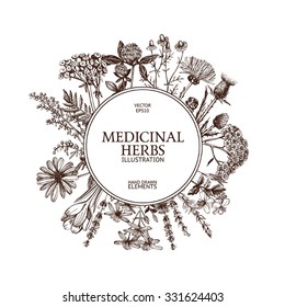 Vector design with hand sketched  herbs. Vintage frame  with medicinal herbs sketch.  Vector template isolated on white