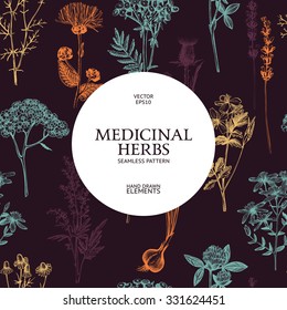 Vector design with hand sketched herbs. Decorative colorful background with vintage medicinal herbs sketch. Herbal seamless pattern