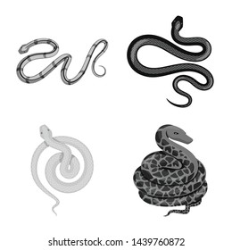 Vector design of harm and bite icon. Collection of harm and reptile stock vector illustration.