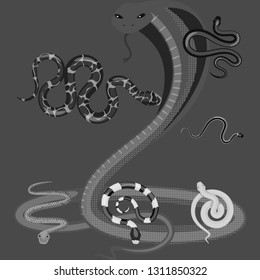 Vector design of harm and bite logo. Collection of harm and reptile stock vector illustration.