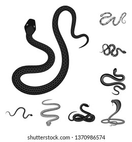 Vector design of harm and bite logo. Set of harm and reptile stock symbol for web.