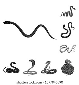 Vector design of harm and bite sign. Collection of harm and reptile stock vector illustration.