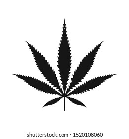 Vector design of hemp and cannabis symbol. Graphic of hemp and leaf vector icon for Stock.