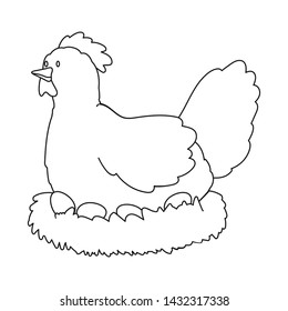 Vector design of hen and bird icon. Collection of hen and egg stock vector illustration.