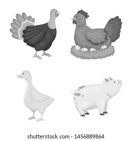Vector design of homestead and agriculture logo. Set of homestead and kitchen vector icon for stock.