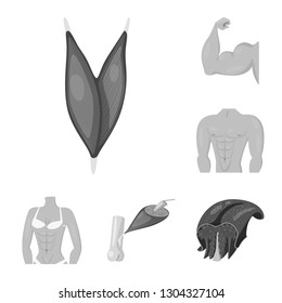 Vector design of human and body icon. Set of human and cells stock vector illustration.
