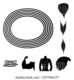 Vector design of human and body  icon. Set of human and cells vector icon for stock.