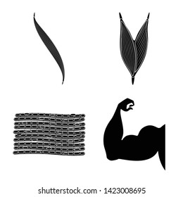 Vector design of human and body  icon. Set of human and cells stock symbol for web.