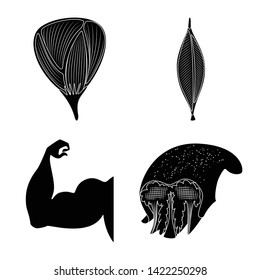 Vector design of human and body  logo. Collection of human and cells stock vector illustration.
