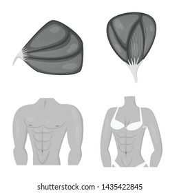 Vector design of human and body sign. Collection of human and cells stock symbol for web.