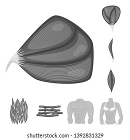 Vector design of human and body symbol. Set of human and cells vector icon for stock.