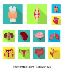 Vector design of human and health logo. Collection of human and scientific vector icon for stock.