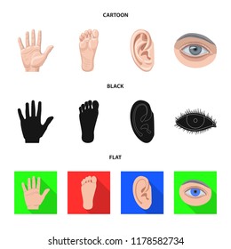 Vector design of human and part icon. Set of human and woman vector icon for stock.
