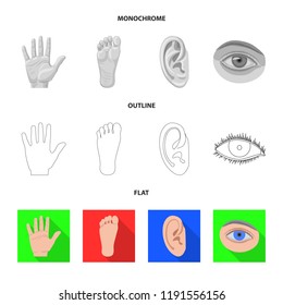 Vector design of human and part icon. Collection of human and woman vector icon for stock.