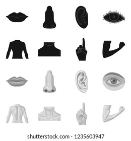 Vector design of human and part icon. Set of human and woman stock symbol for web.