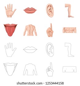 Vector design of human and part icon. Collection of human and woman stock vector illustration.