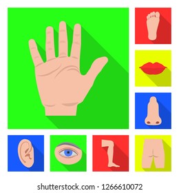 Vector design of human and part icon. Set of human and woman stock vector illustration.