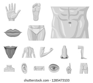 Vector design of human and part icon. Collection of human and woman stock vector illustration.