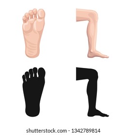Vector design of human and part icon. Set of human and woman stock symbol for web.