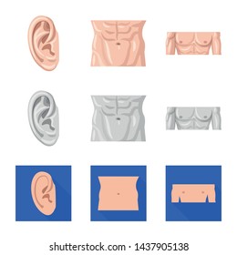 Vector design of human and part icon. Set of human  stock vector illustration.