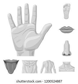 Vector design of human and part logo. Collection of human and woman stock symbol for web.