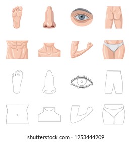 Vector design of human and part logo. Set of human and woman stock symbol for web.