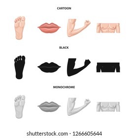 Vector design of human and part logo. Set of human and woman stock symbol for web.