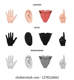 Vector design of human and part logo. Collection of human and woman stock symbol for web.