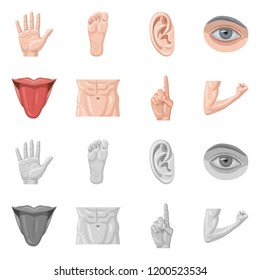Vector design of human and part sign. Collection of human and woman stock symbol for web.