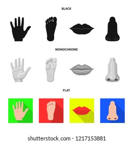 Vector design of human and part sign. Collection of human and woman stock vector illustration.