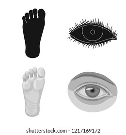 Vector design of human and part sign. Collection of human and woman stock symbol for web.