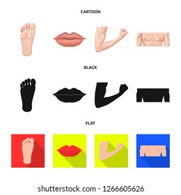 Vector design of human and part sign. Set of human and woman stock vector illustration.