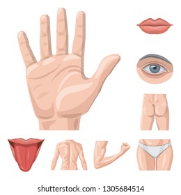 Vector design of human and part sign. Set of human and woman stock vector illustration.