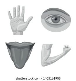 Vector design of human and part sign. Collection of human and woman stock vector illustration.