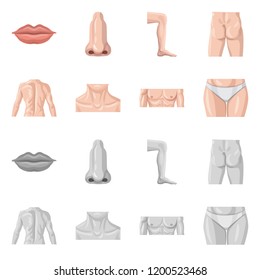 Vector design of human and part symbol. Collection of human and woman vector icon for stock.