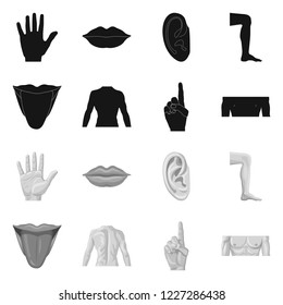 Vector design of human and part symbol. Collection of human and woman stock vector illustration.