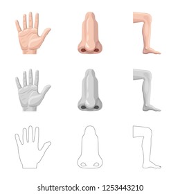 Vector design of human and part symbol. Set of human and woman stock vector illustration.