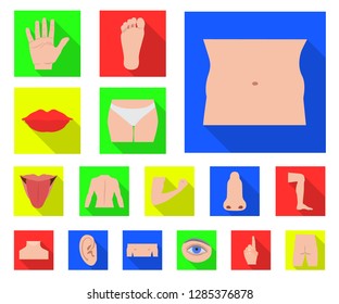 Vector design of human and part symbol. Set of human and woman stock symbol for web.