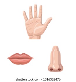 Vector design of human and part symbol. Set of human and woman stock vector illustration.