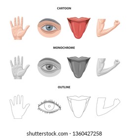 Vector design of human and part symbol. Set of human and woman stock symbol for web.