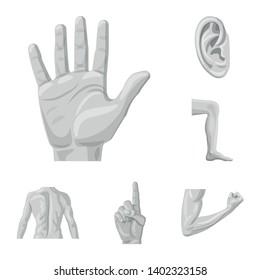 Vector design of human and part symbol. Collection of human and woman vector icon for stock.