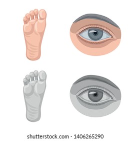 Vector design of human and part symbol. Set of human and woman vector icon for stock.