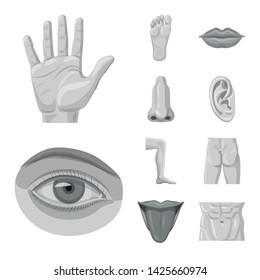 Vector design of human and part symbol. Collection of human and woman stock symbol for web.