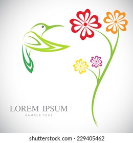 Vector design of hummingbird and flowers on white background