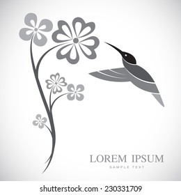 Vector design of hummingbird and flowers on white background