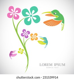 Vector design of hummingbird and flowers on white background