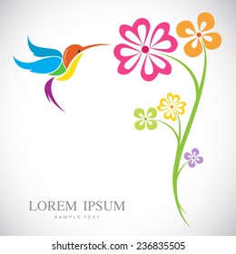 Vector design of hummingbird and flowers on white background